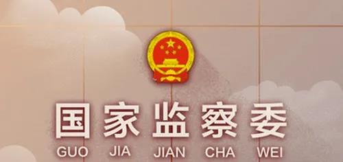 律师动态