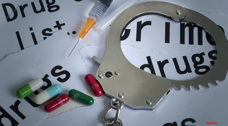 刑法对毒品犯罪的处罚有什么规定